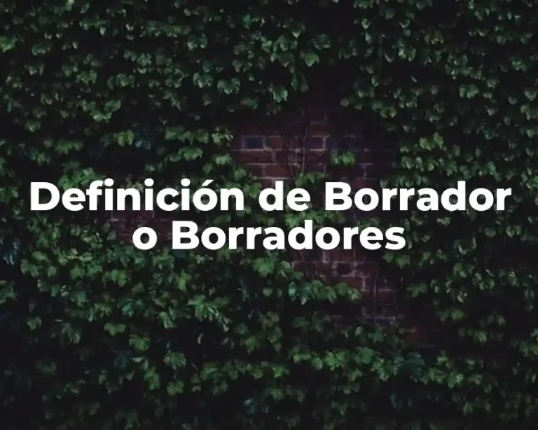 Definición de Borrador o Borradores