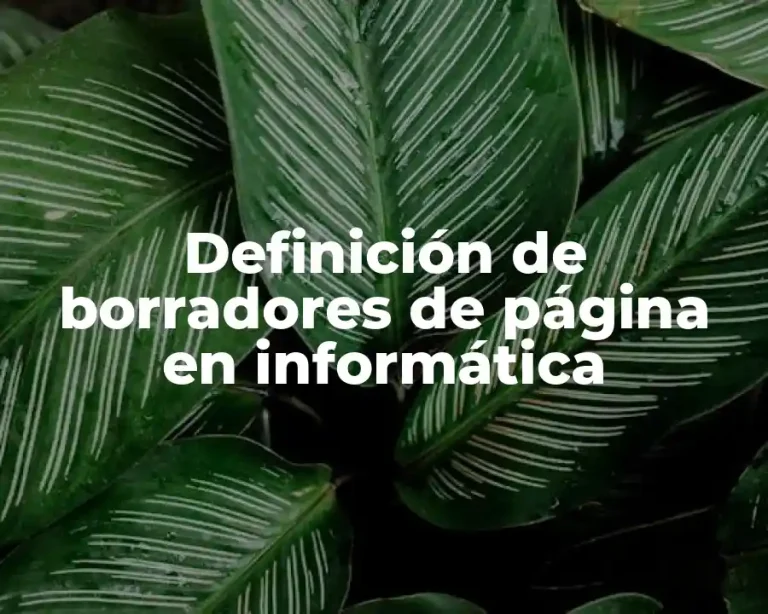Definición de borradores de página en informática