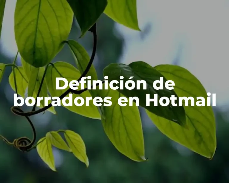 Definición de borradores en Hotmail