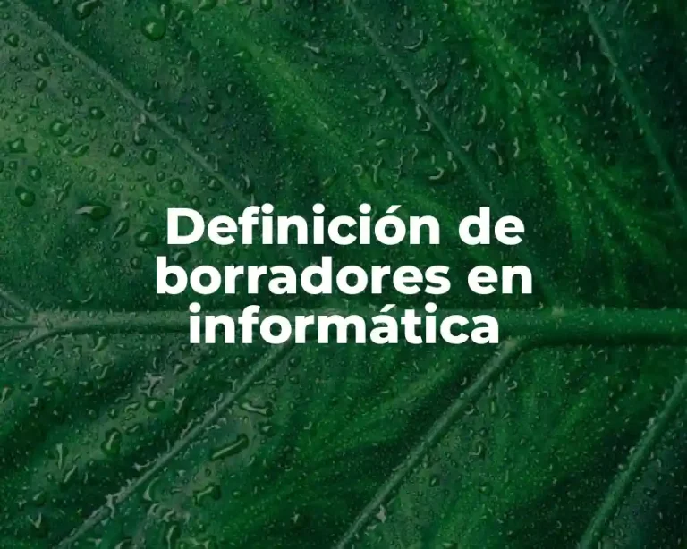 Definición de borradores en informática
