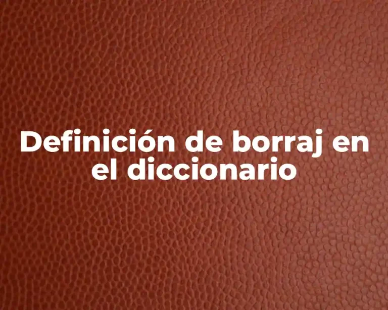 Definición de borraj en el diccionario