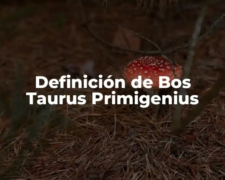 Definición de Bos Taurus Primigenius