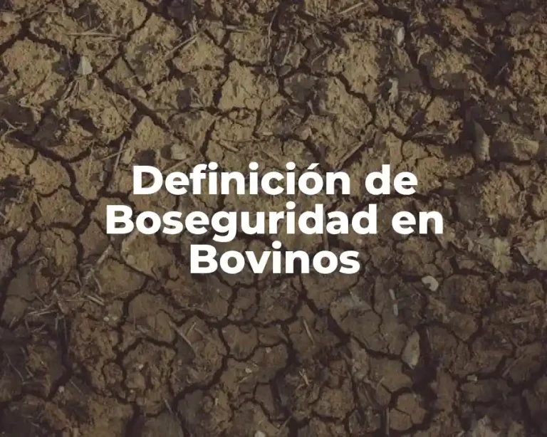 Definición de Boseguridad en Bovinos