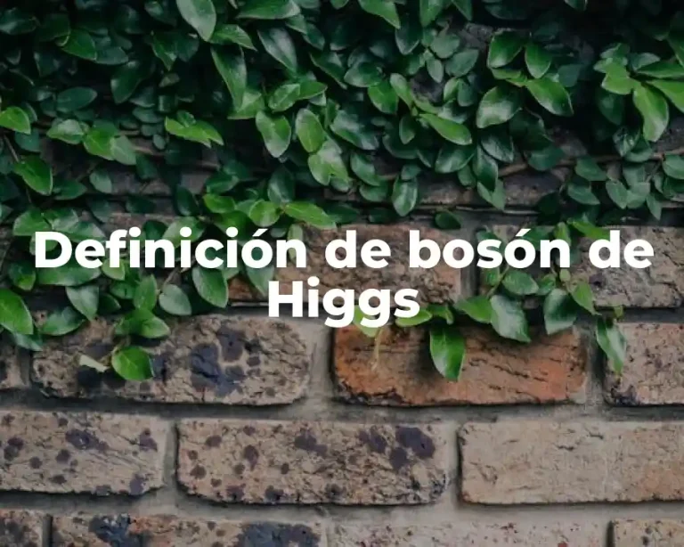 Definición de bosón de Higgs