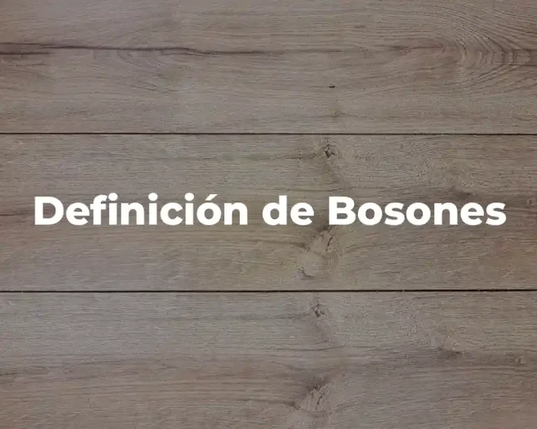 Definición de Bosones
