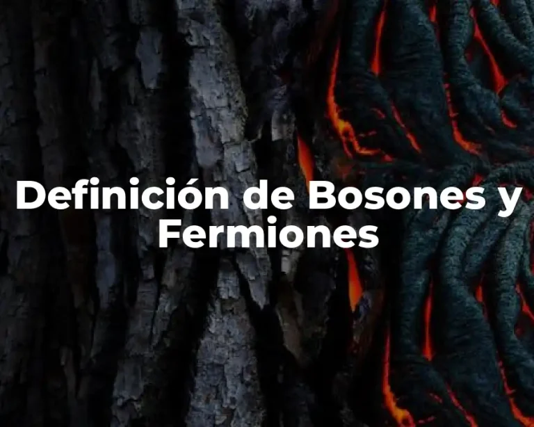 Definición de Bosones y Fermiones