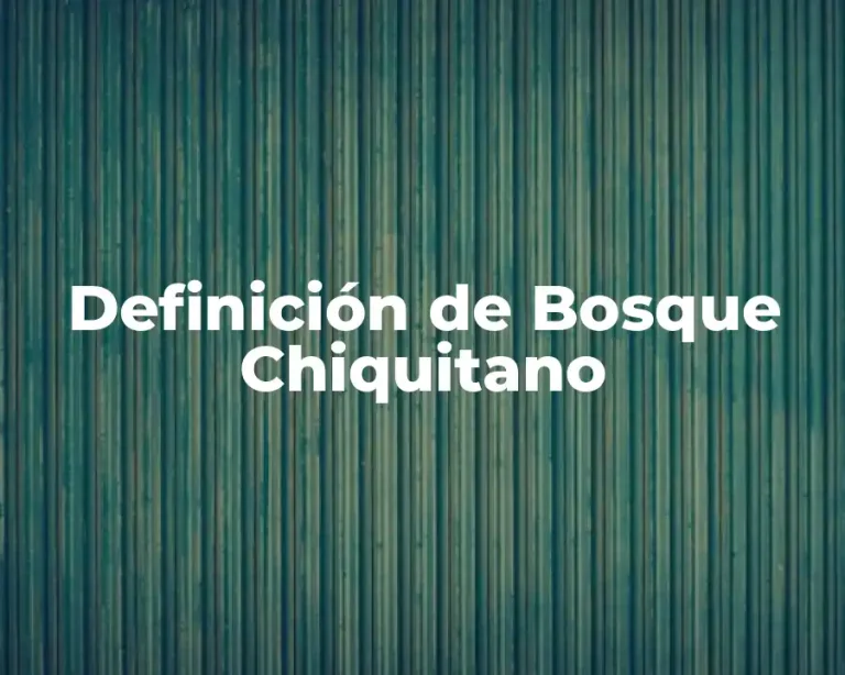 Definición de Bosque Chiquitano
