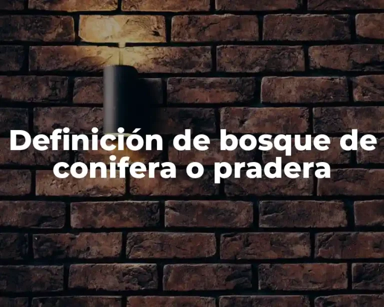 Definición de bosque de conifera o pradera