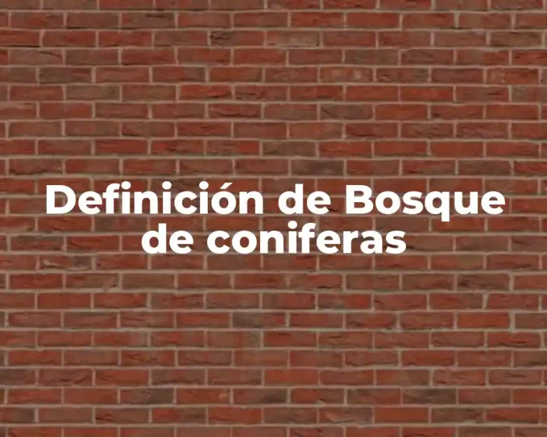 Definición de Bosque de coniferas