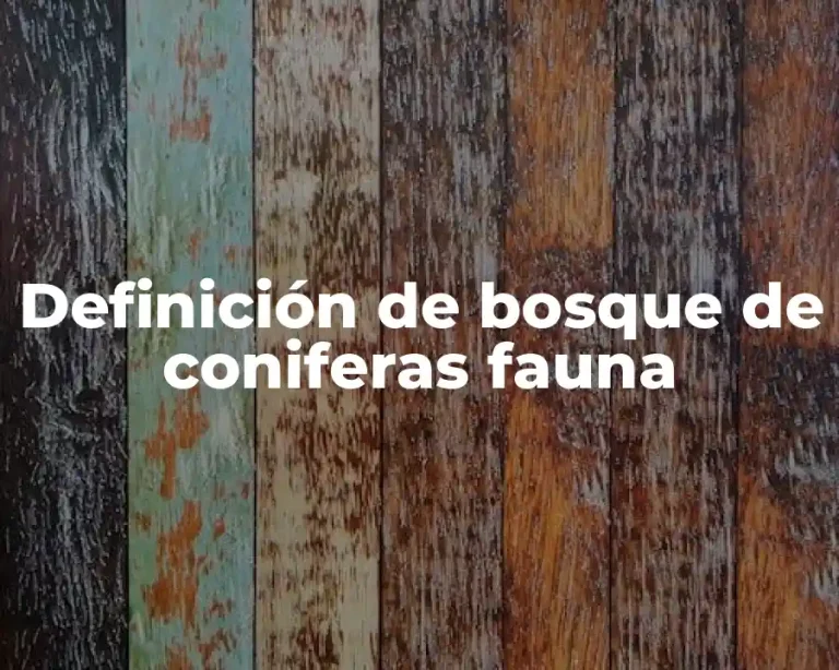 Definición de bosque de coniferas fauna