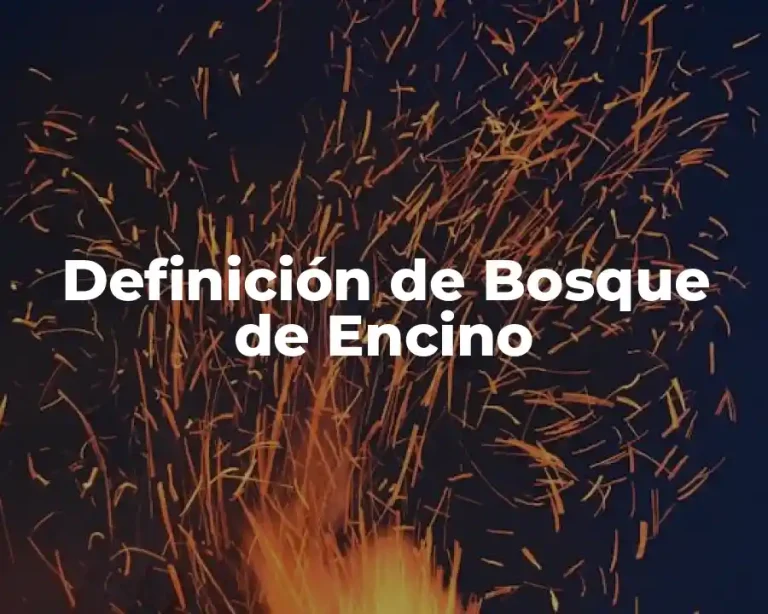 Definición de Bosque de Encino