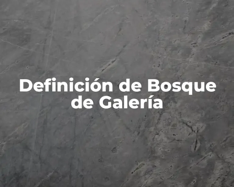 Definición de Bosque de Galería
