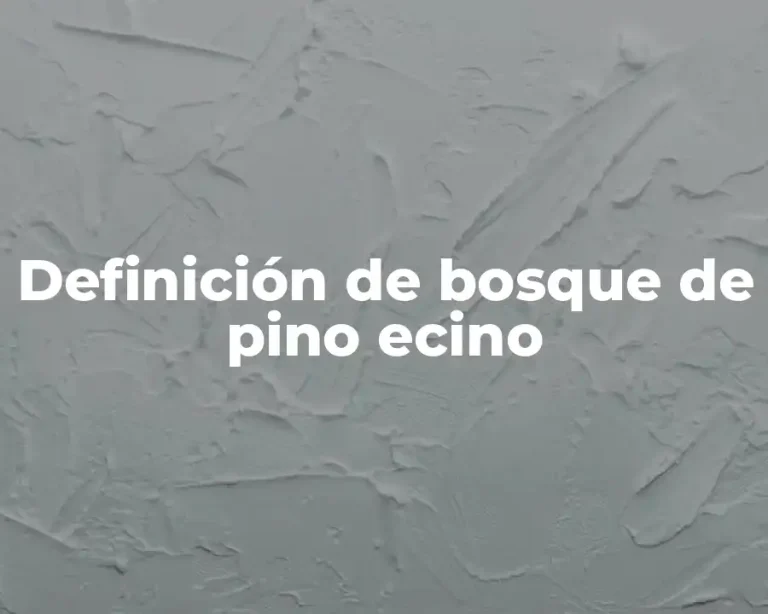 Definición de bosque de pino ecino