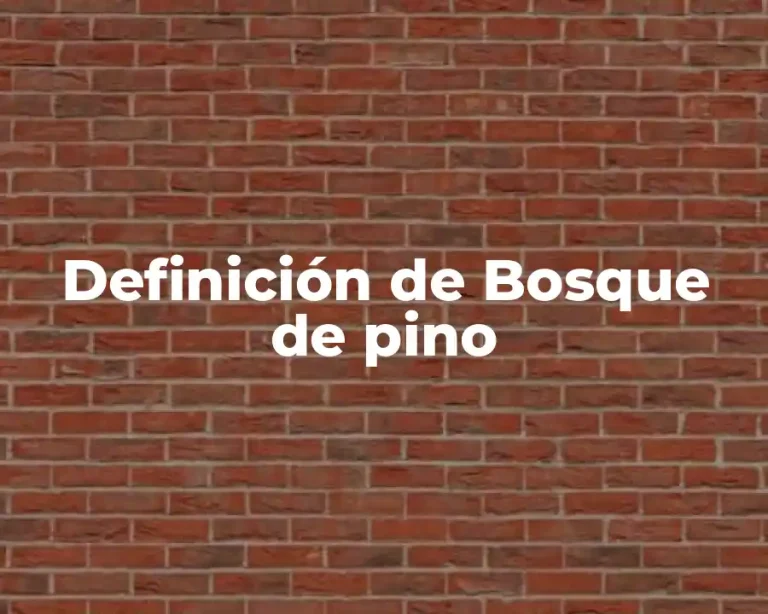 Definición de Bosque de pino