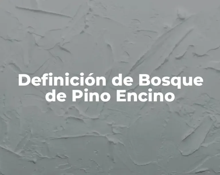 Definición de Bosque de Pino Encino