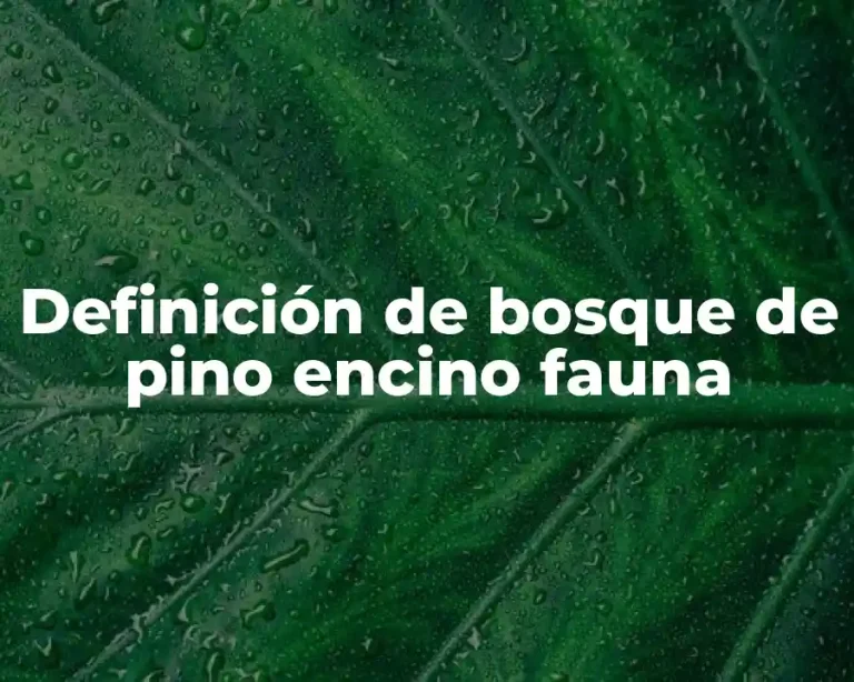 Definición de bosque de pino encino fauna
