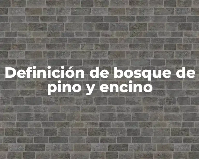 Definición de bosque de pino y encino