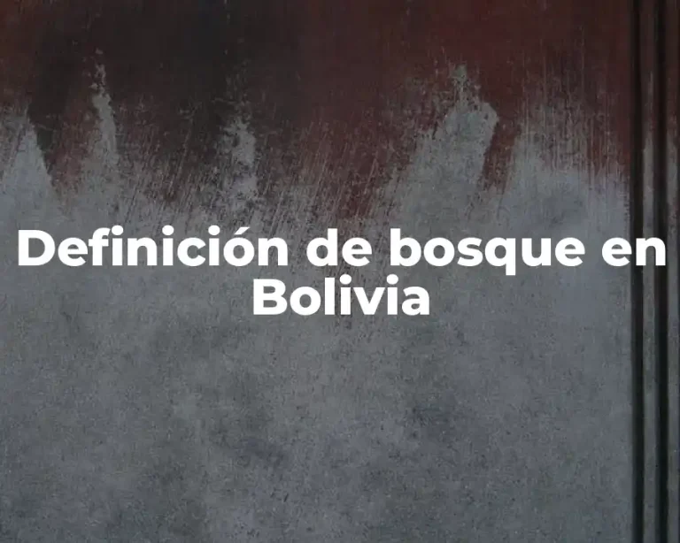 Definición de bosque en Bolivia