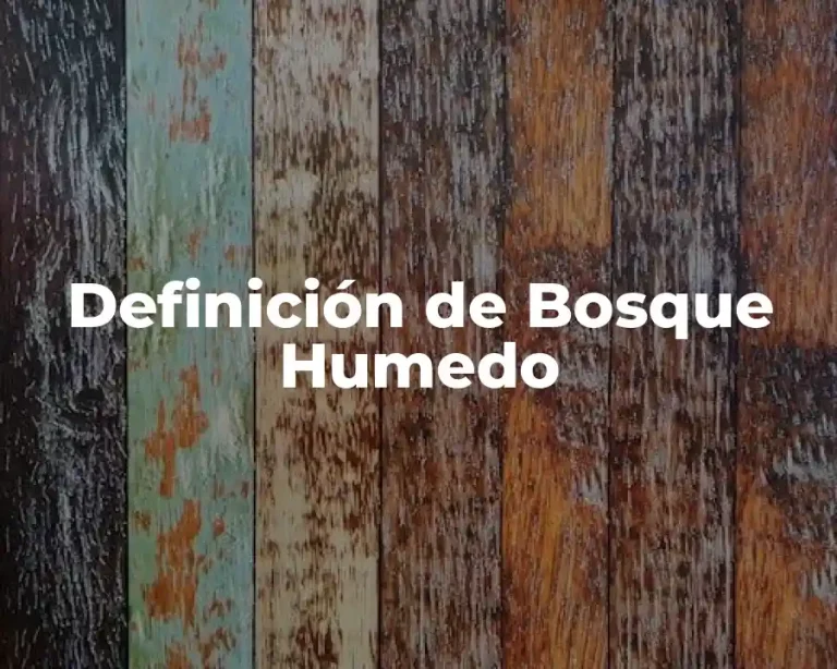 Definición de Bosque Humedo