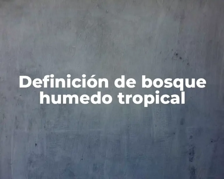 Definición de bosque humedo tropical