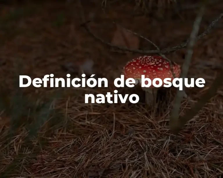 Definición de bosque nativo
