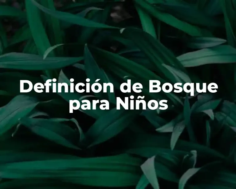 Definición de Bosque para Niños