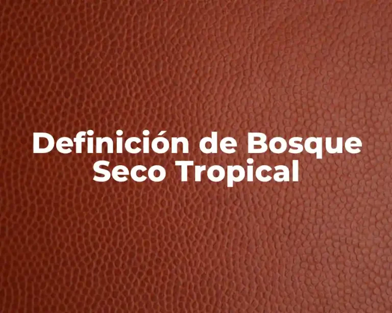 Definición de Bosque Seco Tropical