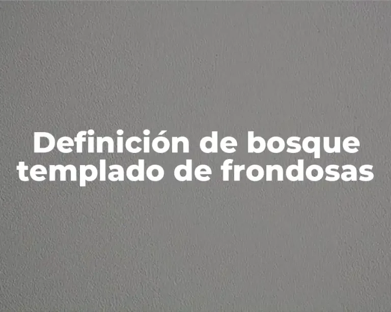 Definición de bosque templado de frondosas