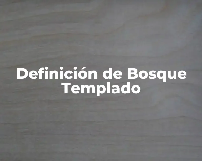 Definición de Bosque Templado