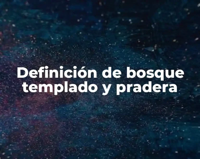 Definición de bosque templado y pradera