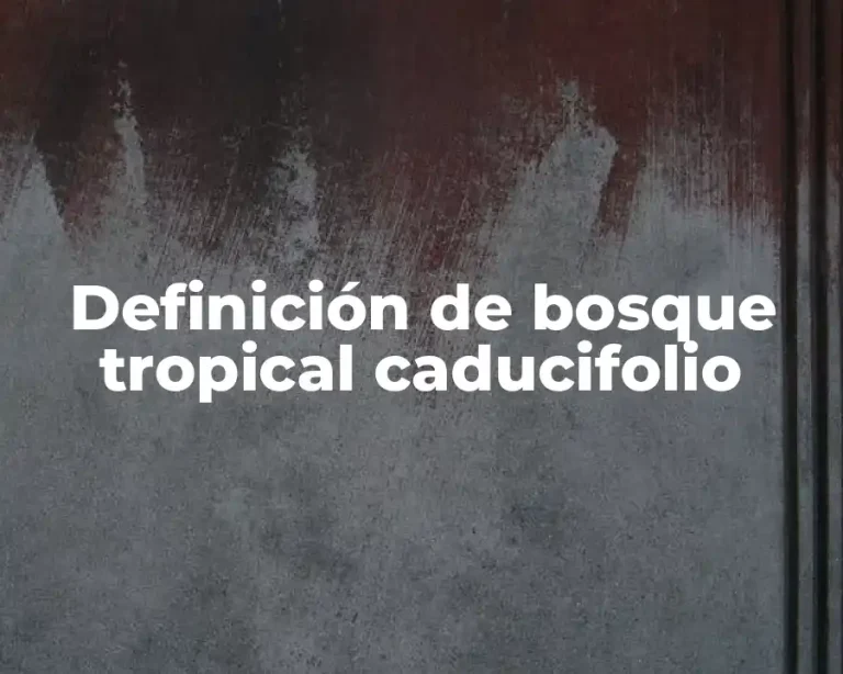 Definición de bosque tropical caducifolio