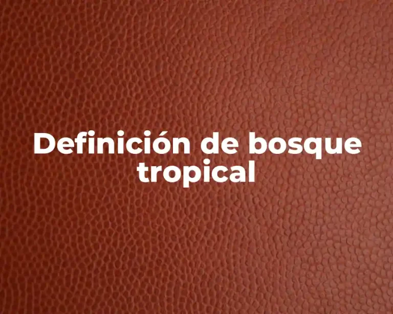 Definición de bosque tropical