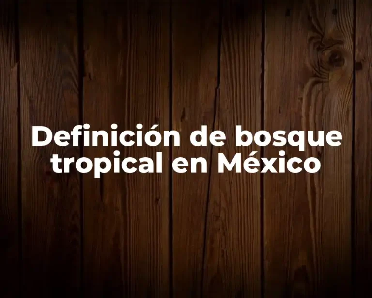 Definición de bosque tropical en México