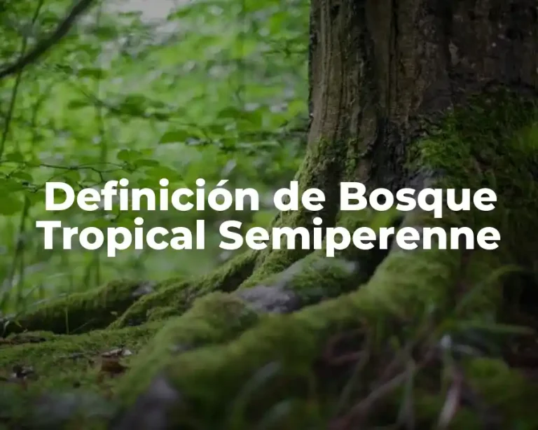 Definición de Bosque Tropical Semiperenne
