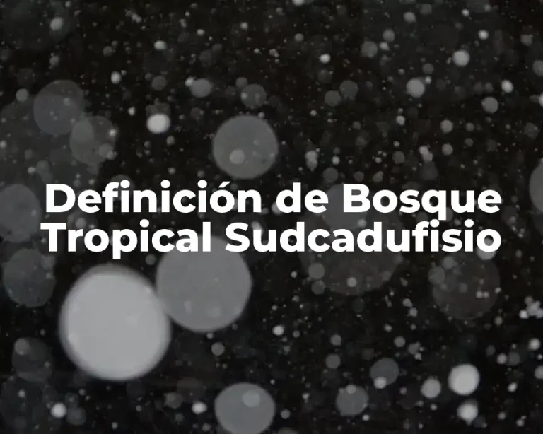 Definición de Bosque Tropical Sudcadufisio