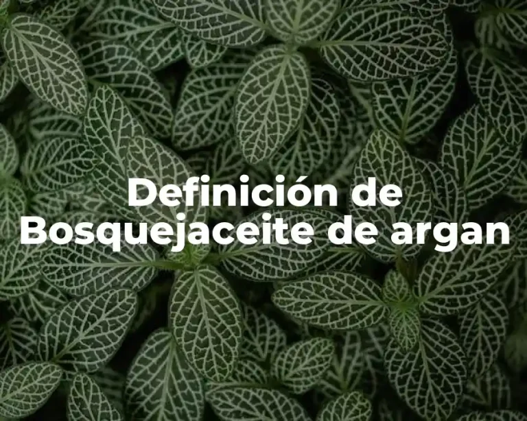 Definición de Bosquejaceite de argan