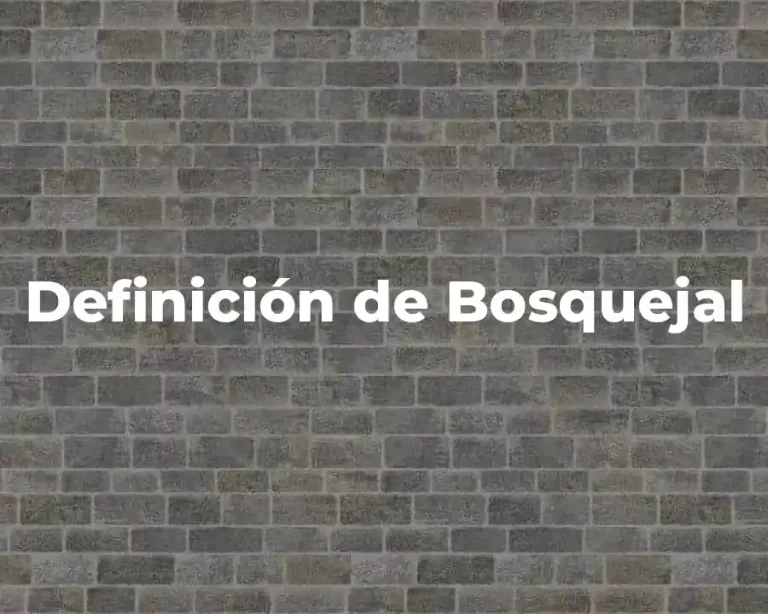 Definición de Bosquejal