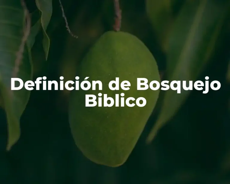 Definición de Bosquejo Biblico