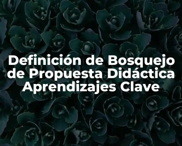 Definición de Bosquejo de Propuesta Didáctica Aprendizajes Clave
