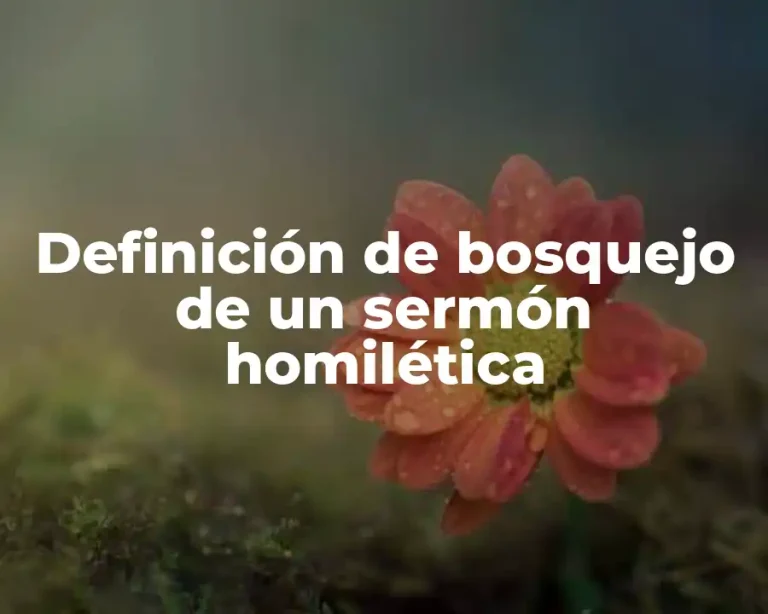 Definición de bosquejo de un sermón homilética