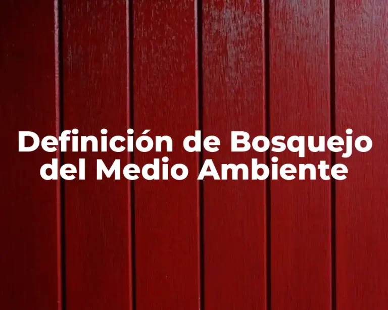 Definición de Bosquejo del Medio Ambiente