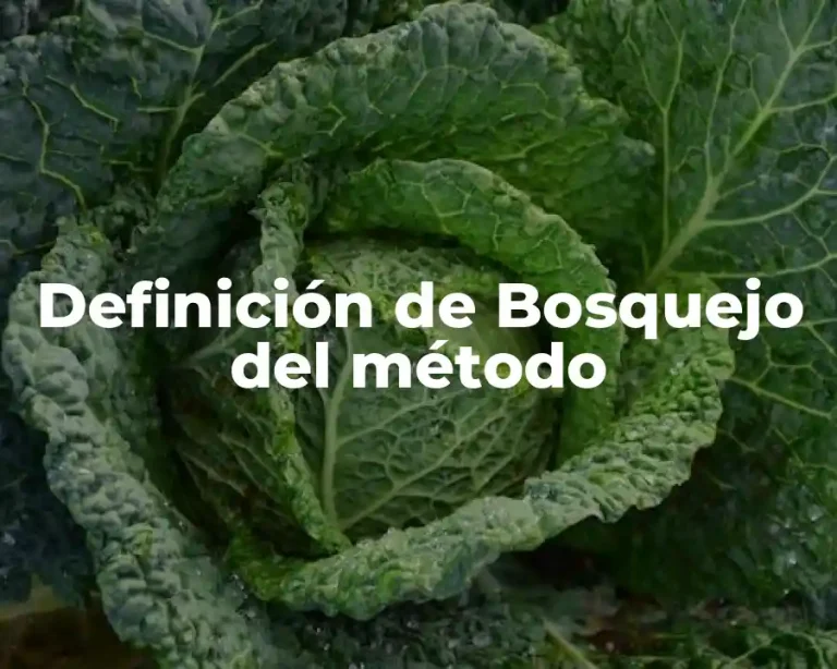 Definición de Bosquejo del método