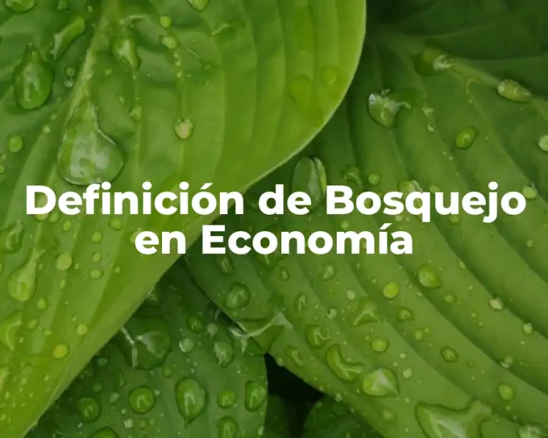 Definición de Bosquejo en Economía
