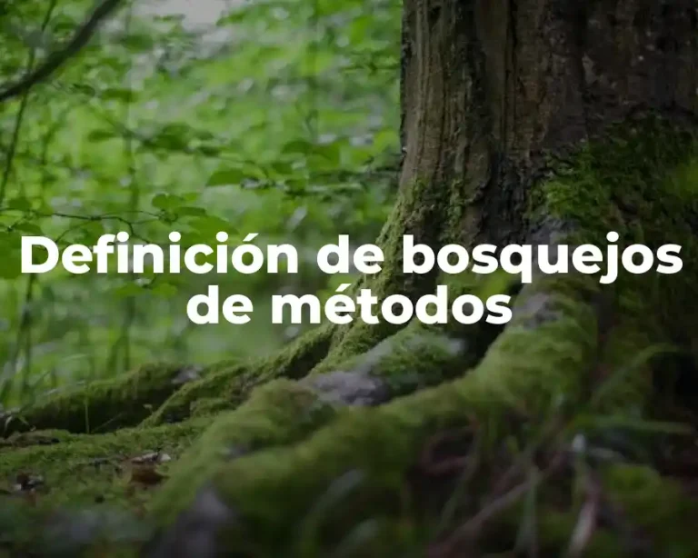 Definición de bosquejos de métodos