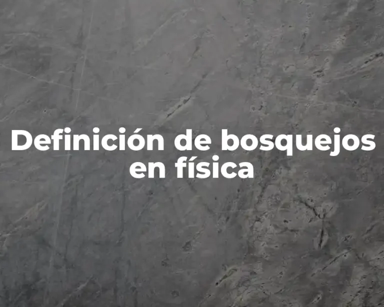 Definición de bosquejos en física