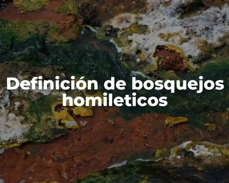 Definición de bosquejos homileticos