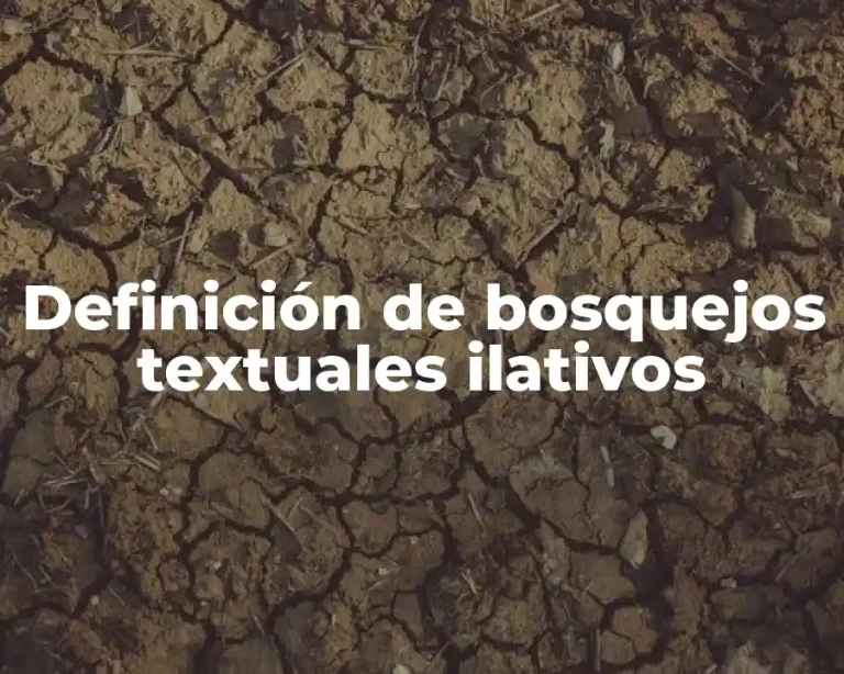 Definición de bosquejos textuales ilativos