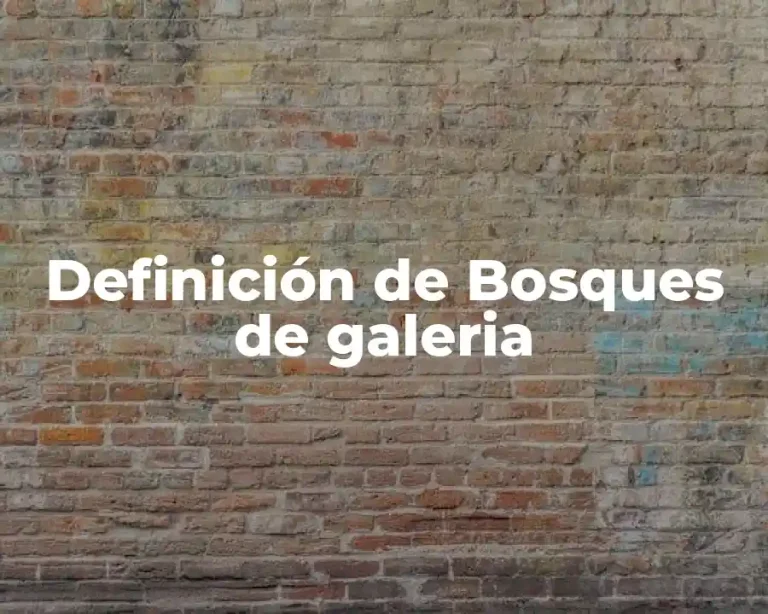 Definición de Bosques de galeria