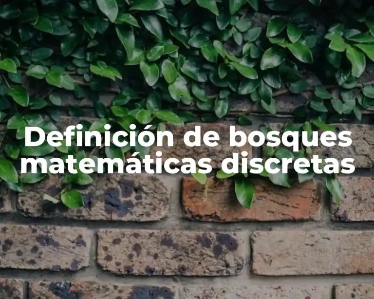 Definición de bosques matemáticas discretas