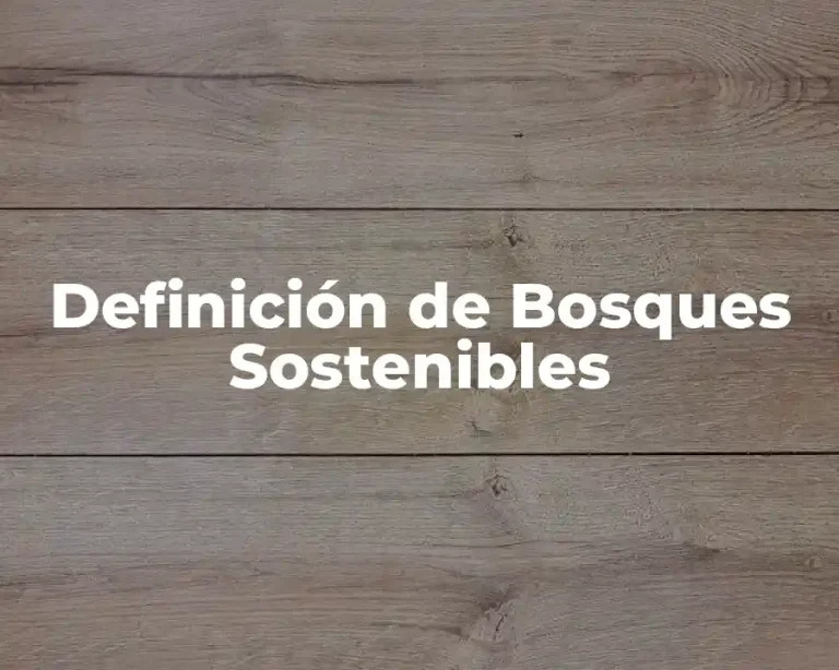 Definición de Bosques Sostenibles